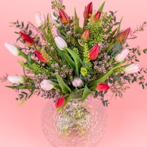mixed tulips